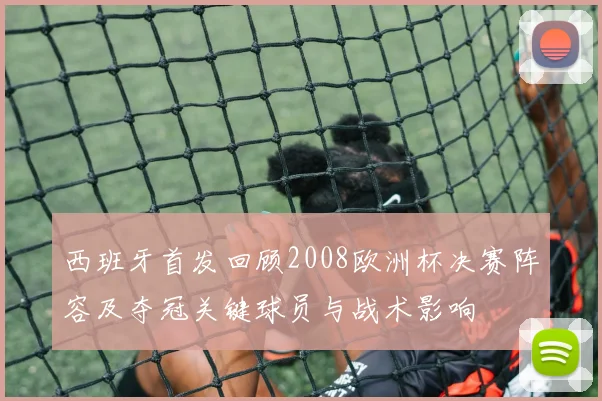 西班牙首发回顾2008欧洲杯决赛阵容及夺冠关键球员与战术影响