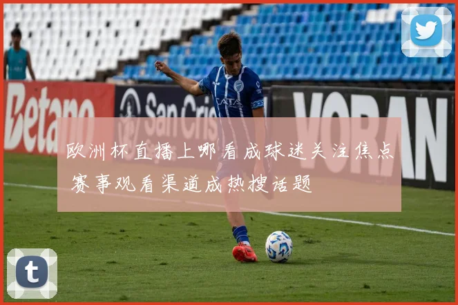 欧洲杯直播上哪看成球迷关注焦点 赛事观看渠道成热搜话题