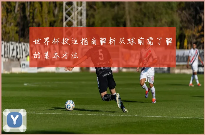 世界杯投注指南解析买球前需了解的基本方法