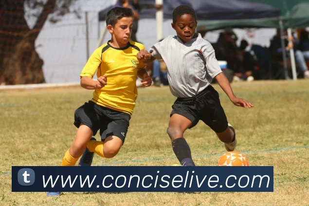 kaiyun开云官方网站APP 封面图